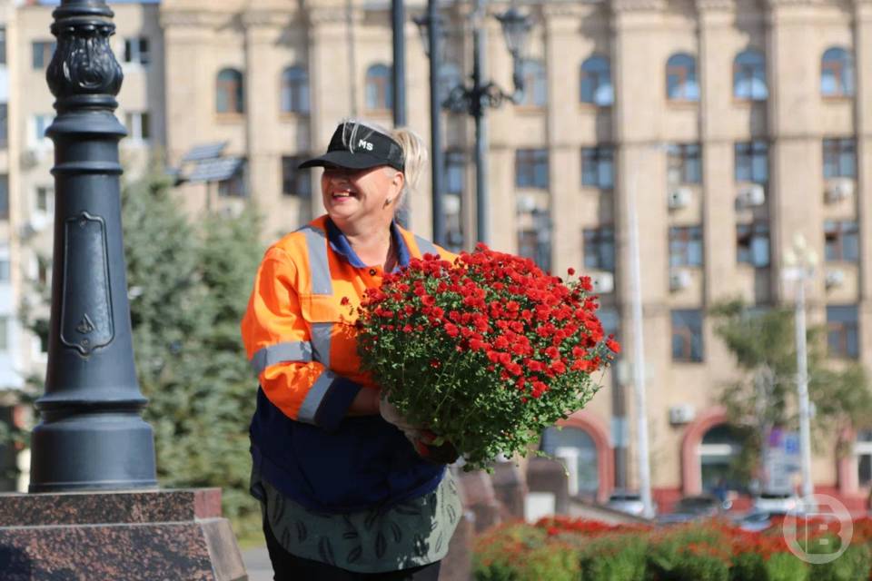 2000 цветов и декоративных растений украсили Александровский сад Волгограда