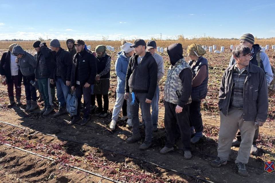 Фиктивный учет мигрантов вскрыли полицейские под Волгоградом