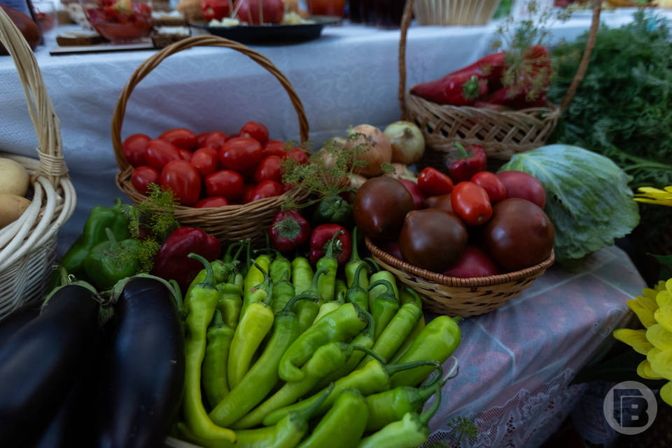 Какие продукты есть в октябре, рассказали санврачи