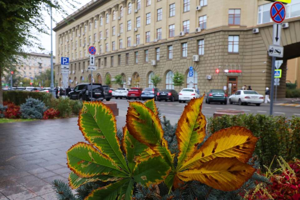 Губернатор Бочаров поздравил коллектив ВолгГМУ с вручением Ордена Почета