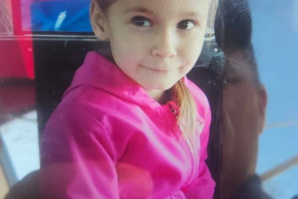 4-летняя девочка бесследно исчезла под Волгоградом