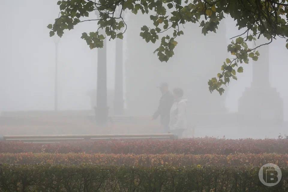 Желтый уровень погодной опасности ввели в Волгоградском регионе