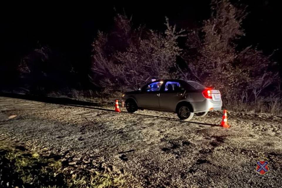 Трое взрослых и ребенок разбились в ДТП под Волгоградом
