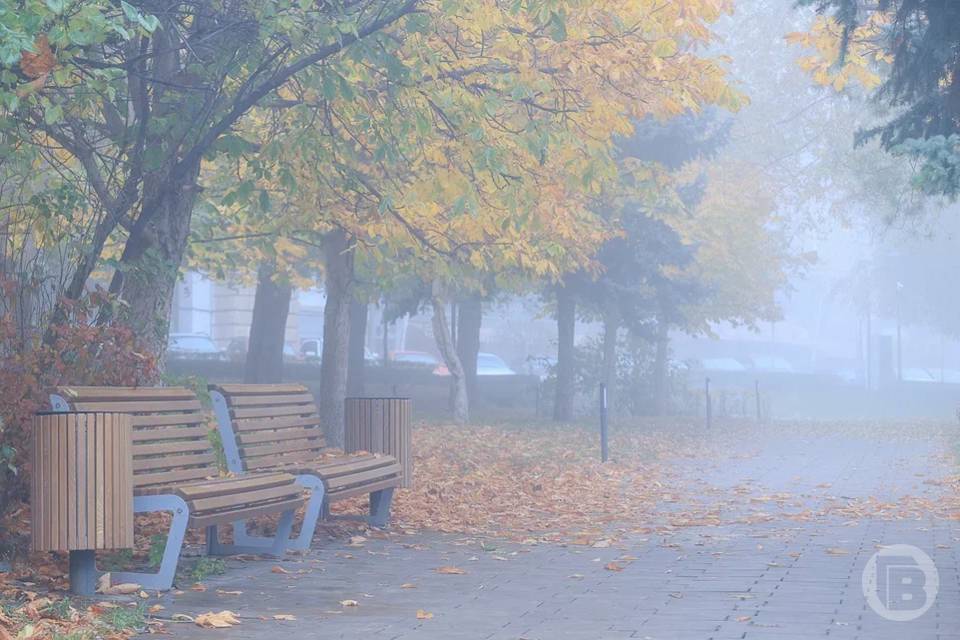 В Волгоградской области предупреждают о туманах 29 октября