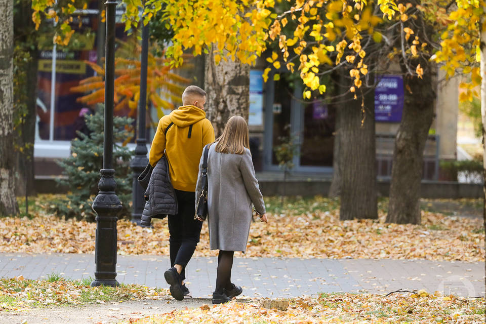 1 ноября вступят в силу законы о налогах и сим-картах волгоградцев