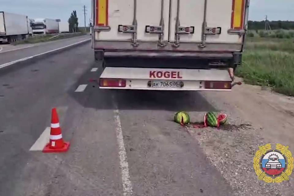 Под Волгоградом жителю Ингушетии грозит срок за смерть дальнобойщика