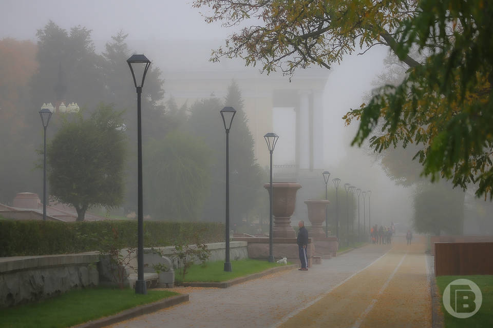 Волгоградцев ожидает туманная погода 31 октября