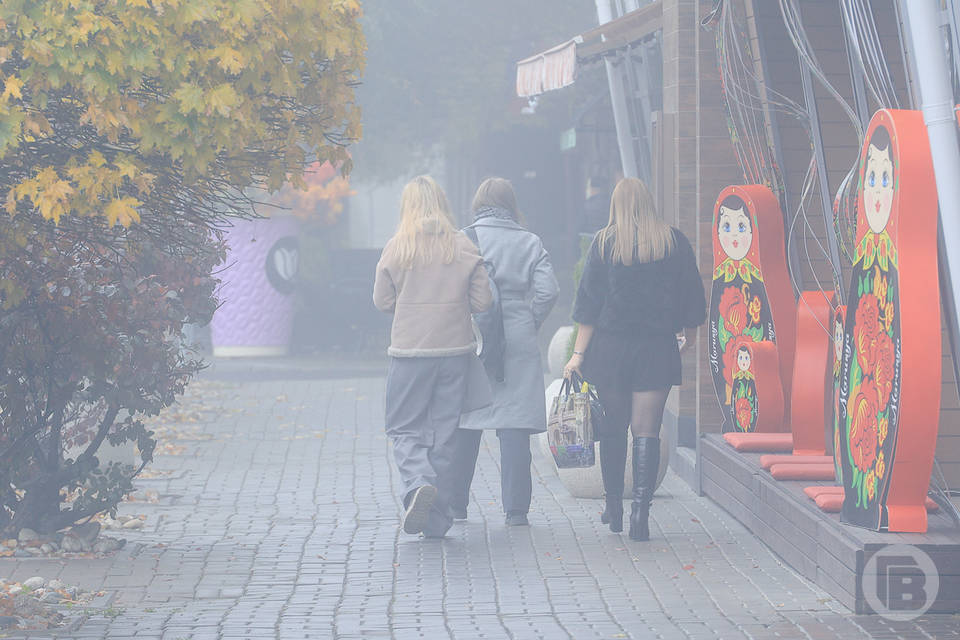 В Волгоградской области заболеваемость ОРВИ упала на 10%