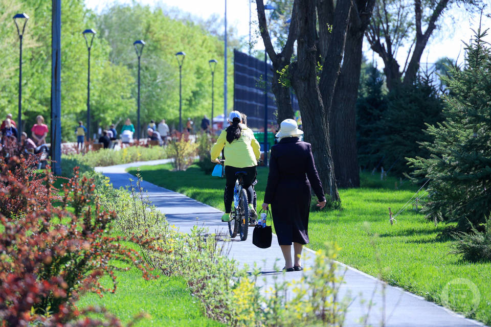 30 минут ходьбы в день снижает риск смерти волгоградцев