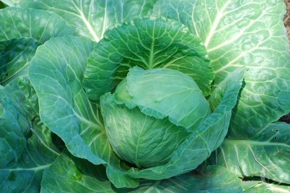 Что нельзя делать 2 ноября, чтобы жить без бед