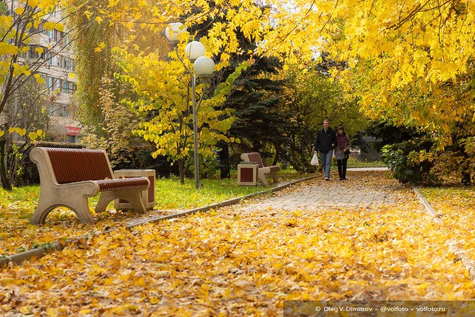 Ждут ли Волгоград геомагнитные возмущения на ноябрьских выходных