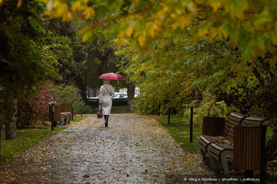 Туманы и мороз до -5º придут в Волгоградскую область