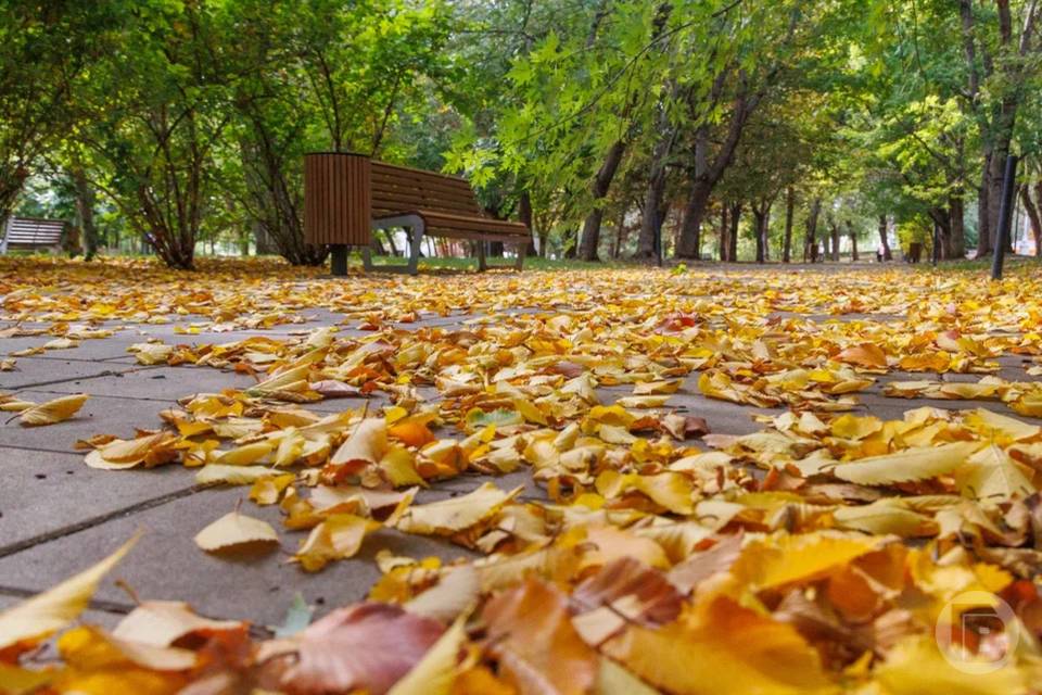 О погоде 3 ноября в Волгограде сообщают синоптики