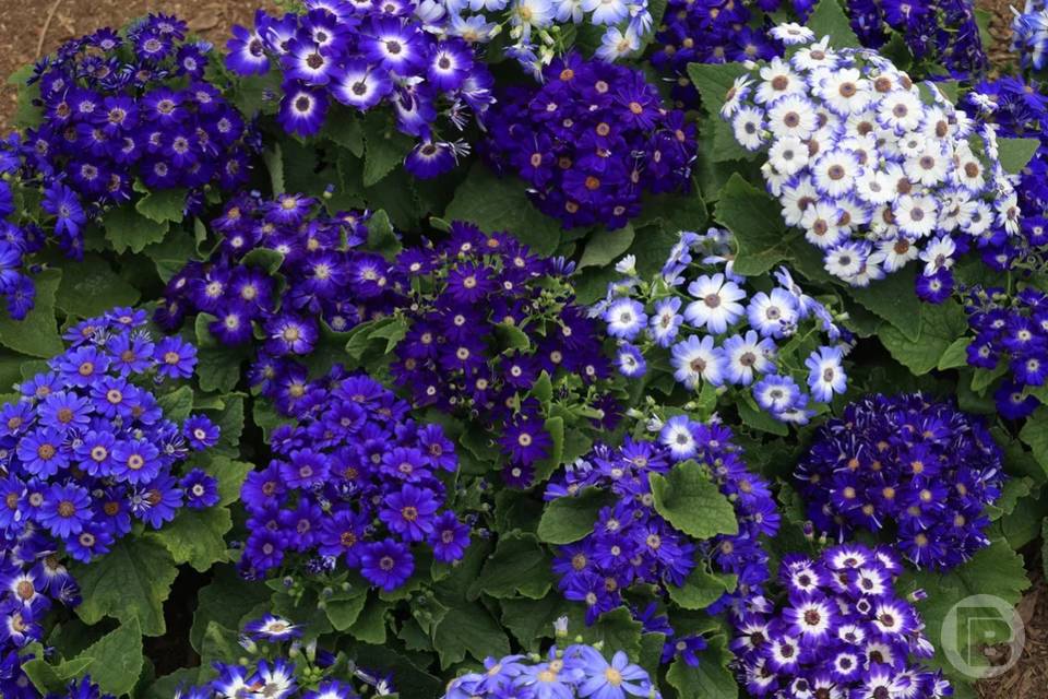 Больше 100 тыс. туристов  посетили природные парки и ботсад Волгоградской области