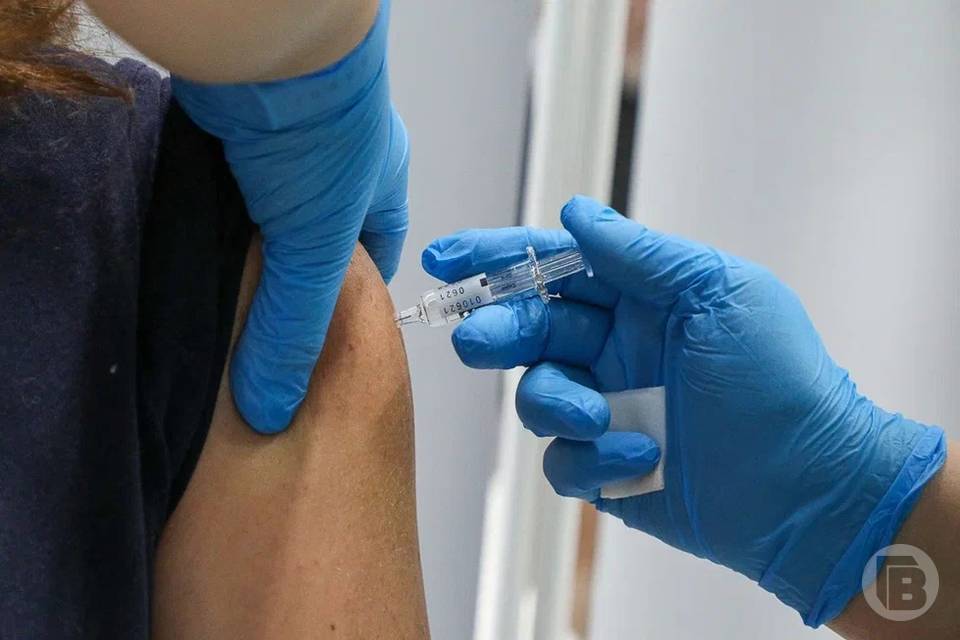 Какие прививки нужно поставить взрослым, рассказали волгоградцам