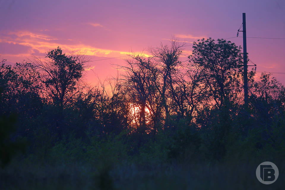 49 БПЛА сбили ночью в Волгоградской области