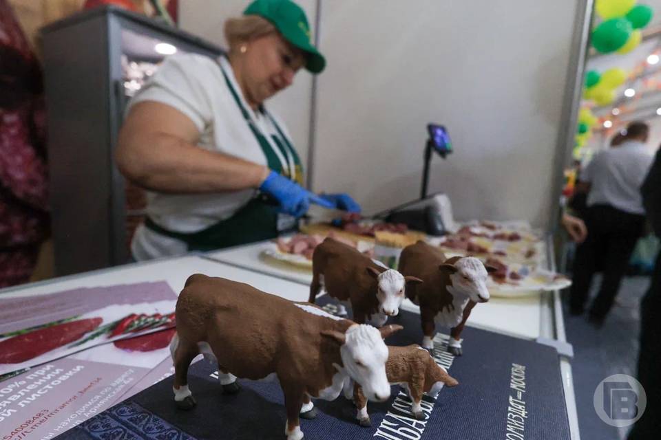 Агросектор Волгоградской области уходит в «цифру» и повышает зарплаты