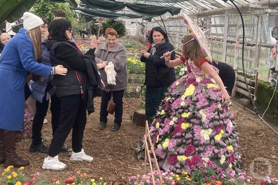 Волгоградцев приглашают 8 ноября на «Бал хризантем»