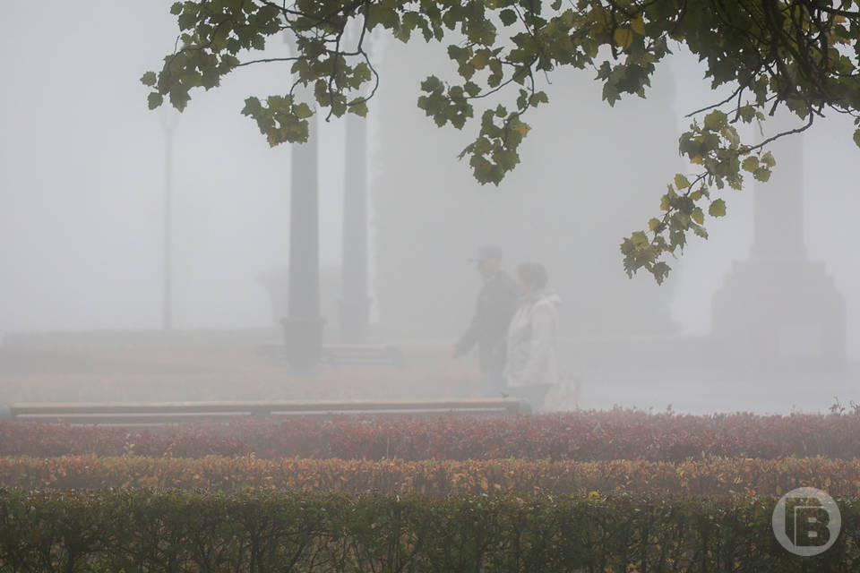 Волгоградцев предупредили о коварном тумане на дорогах