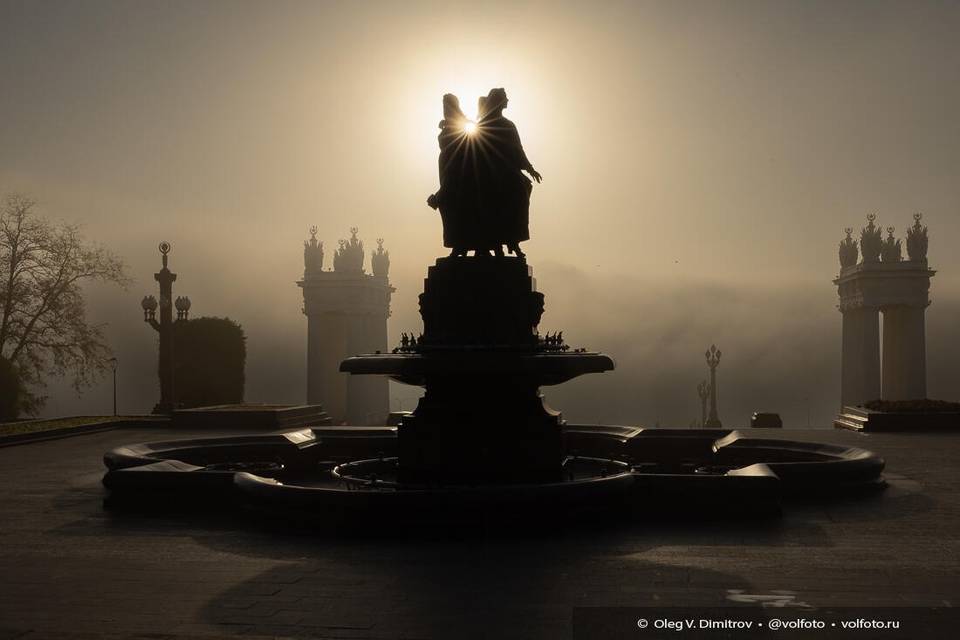 Туманы не покинут Волгоград и область три дня