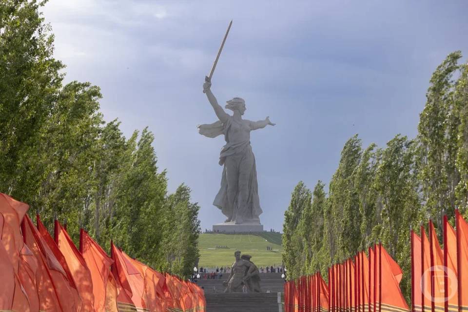 Главе Волгограда Владимиру Маренко поступило Благодарственное письмо от военного