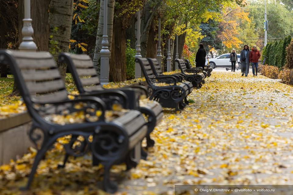 Какая погода ждет волгоградцев 9 ноября