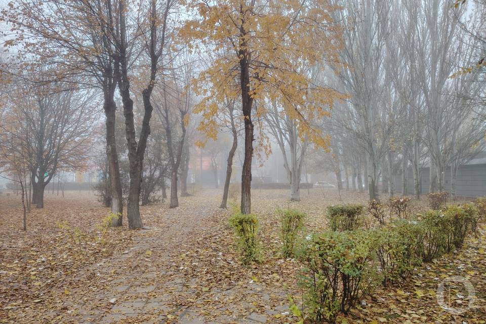 В Волгоградской области объявлено предупреждение из-за тумана
