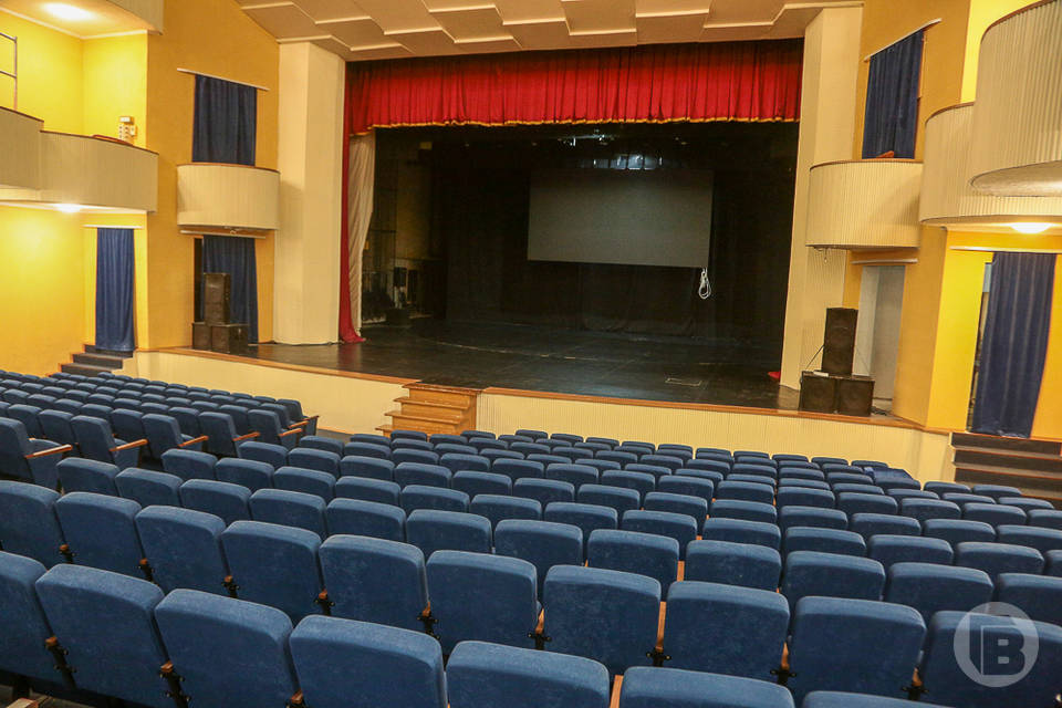 О кадровых изменениях во ВГИИКе высказались эксперты