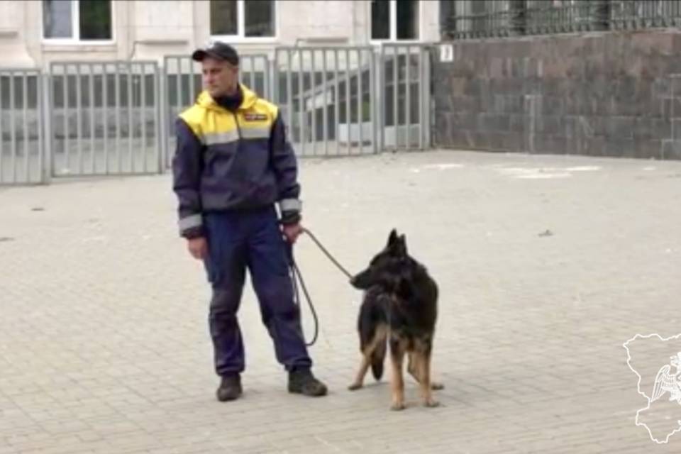 Людей в форме со служебными собаками заметили на ж/д вокзале «Волгоград 1»