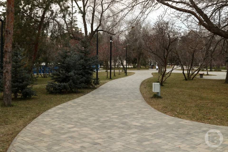 В Центральном районе Волгограда завершили озеленение Городского сада