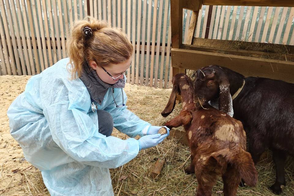 Ветврачи провели осмотр зверьков живого уголка Волгоградского ЦПКиО