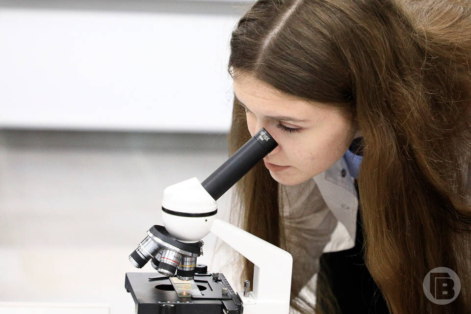 В волгоградском политехе открыли уникальную лабораторию