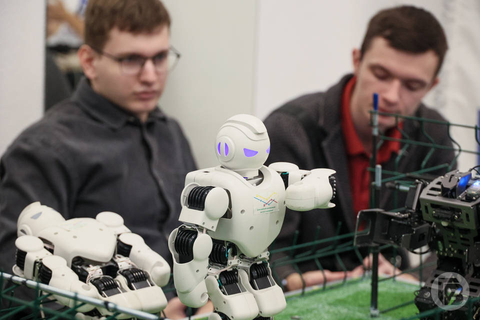 В мир «цифры»: форум для школьников «IT на Волге» проходит в Волгограде