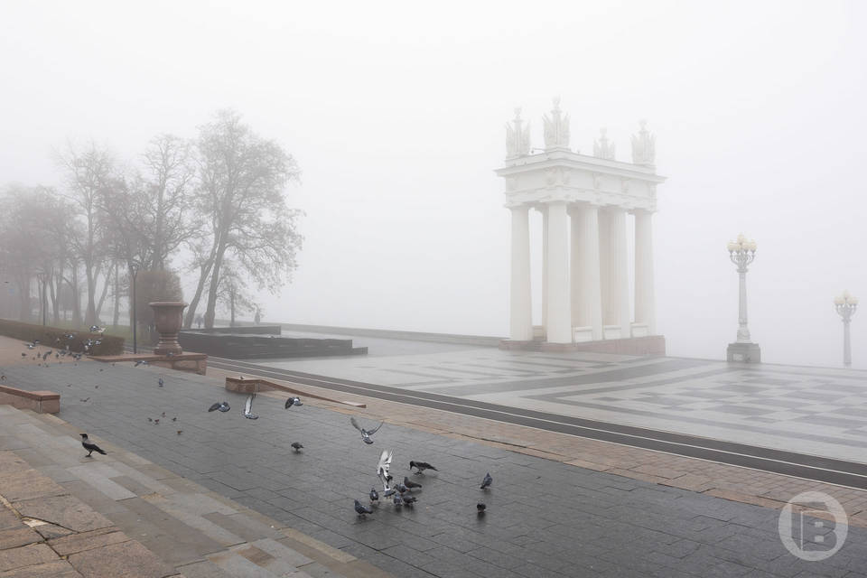 Волгоградцев предупреждают о туманах 14 ноября