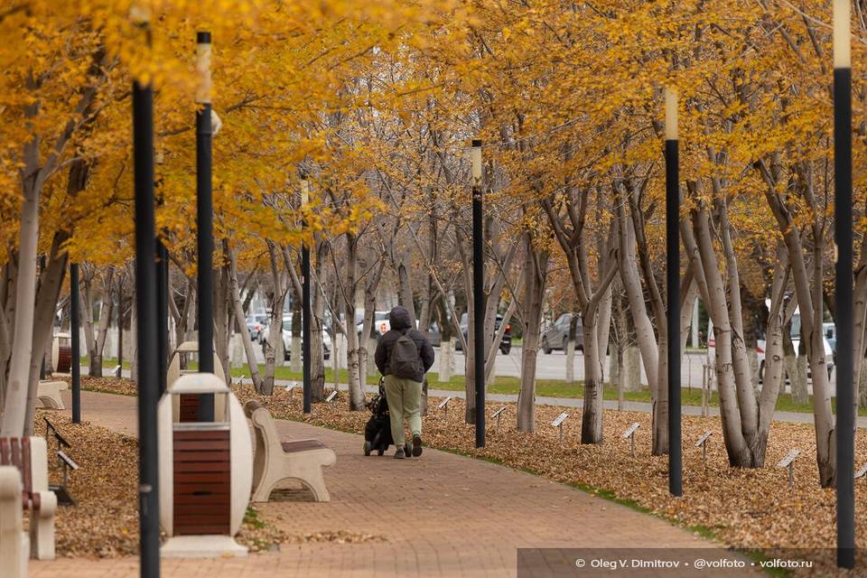 Дожди и туманы ждут волгоградцев на выходных