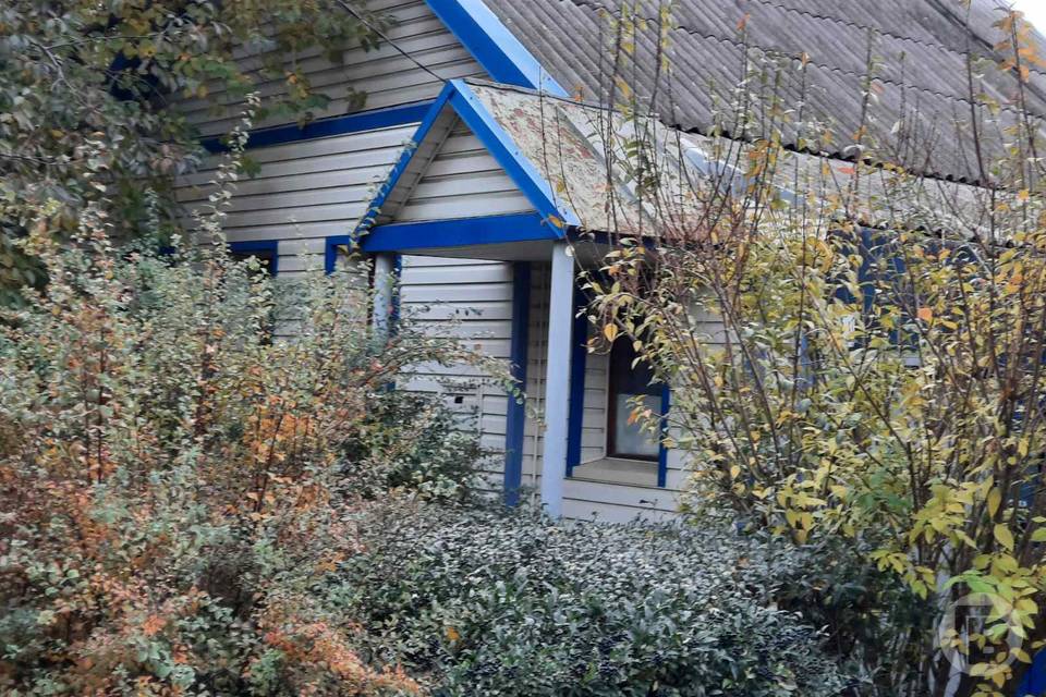 Холодное воскресенье ждет волгоградцев 16 ноября