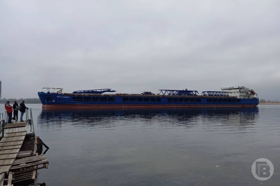 Цвет ноября: Волгоград не спешит поддаваться хмурой осени