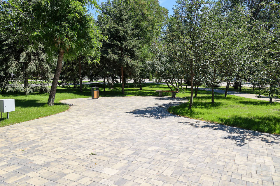 3 тысячи деревьев и кустарников высадили в Волжском