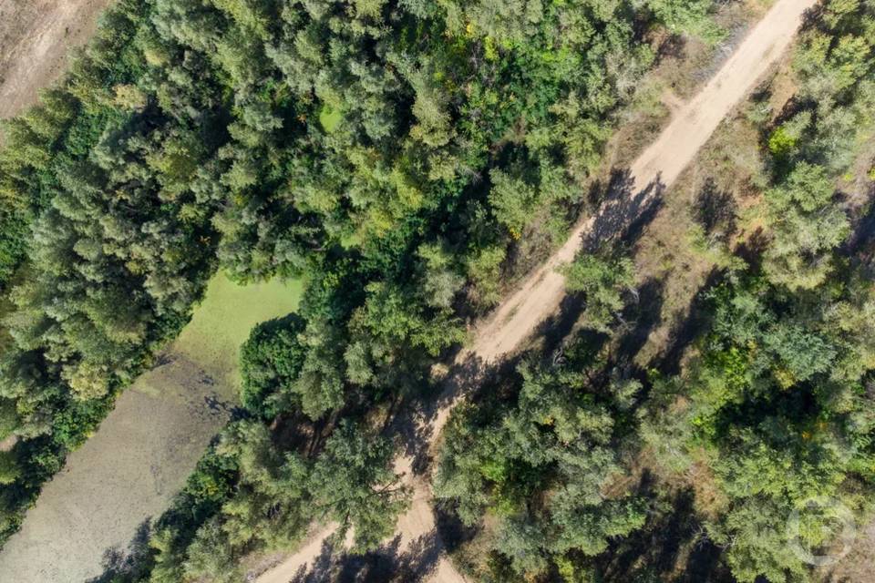 Охранную зону создали для природного парка под Волгоградом