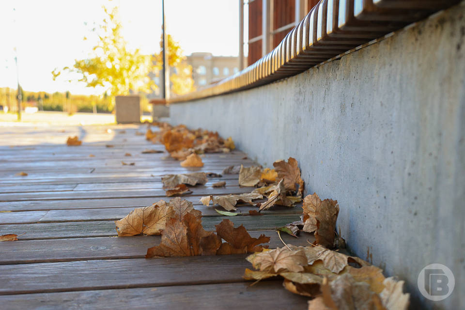 Волгоградцев ожидает сильный ветер 18 ноября