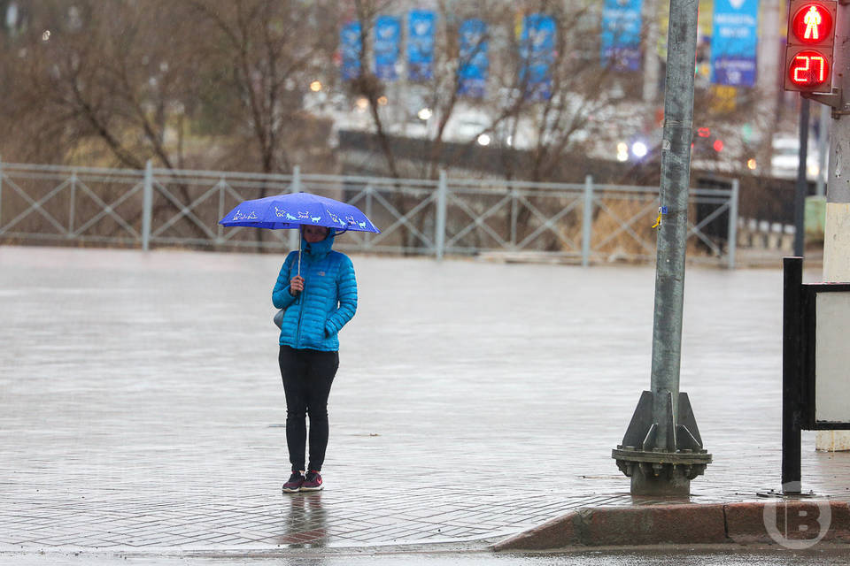 Волгоградцев предупреждают об штормовом ветре 19 ноября