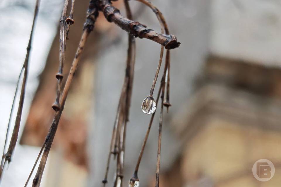 В Волгограде прогнозируют туман и похолодание до –1