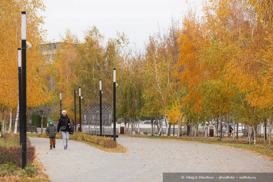 Теплая погода ждет волгоградцев на выходных