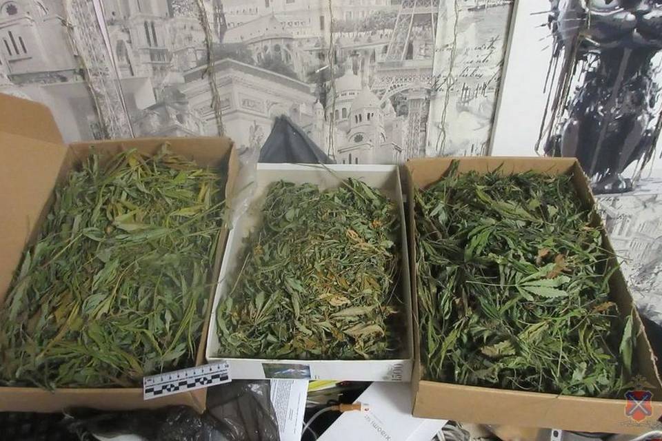 У волгоградца нашли несколько коробок с марихуаной