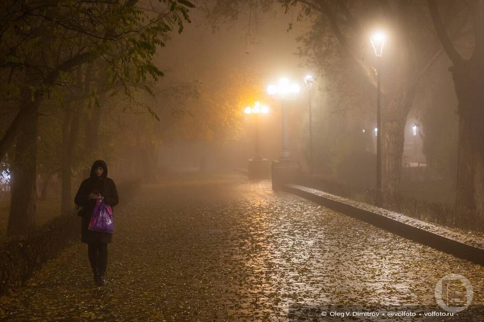 Волгоградцев предупреждают о туманах