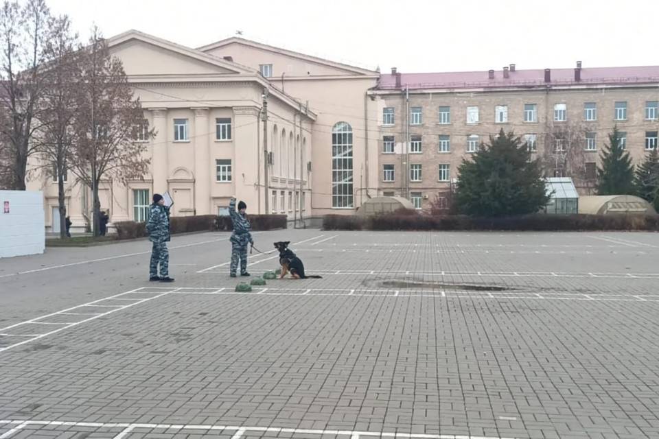 Волгоградские кинологи Главка МВД встретились со студентами ВолГАУ и школьниками