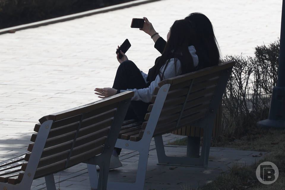 Волгоградцам напомнили о "белом списке" сайтов при отсутствии Сети