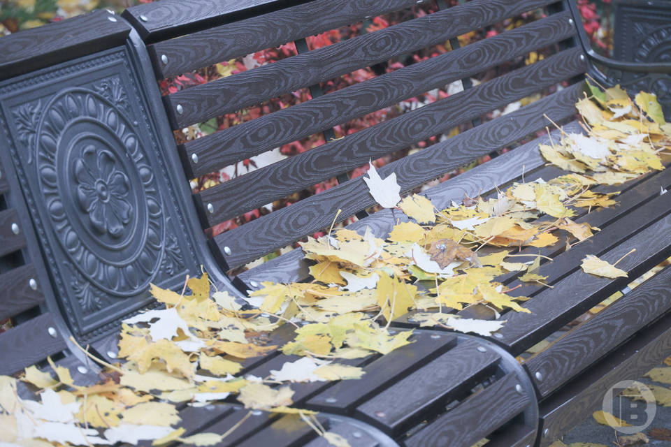 25 ноября волгоградцев ожидает понижение температуры до -1º
