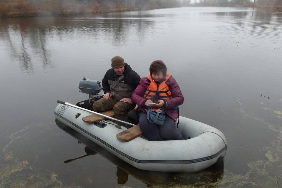 Под Волгоградом выхухоль обнаружили на трех новых озерах в конце ноября