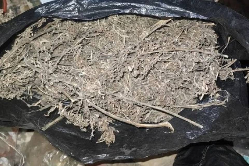 Под Волгоградом мужчине грозит до 10 лет тюрьмы за хранение наркотиков